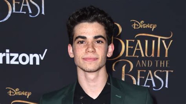 Was Cameron Boyce gay?
