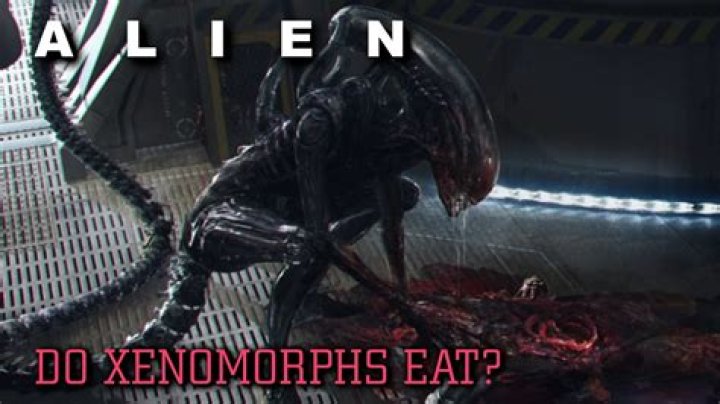 What Do Xenomorphs Eat