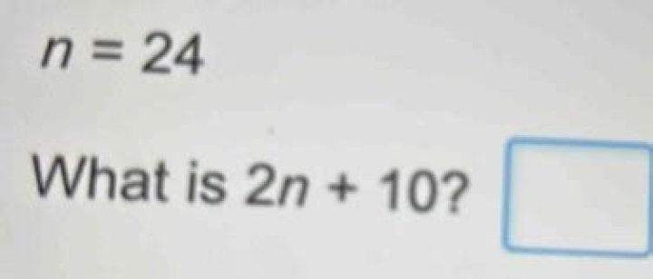 What Is 2n