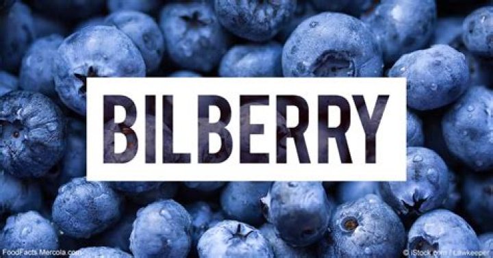 What Is Bilberry Good For