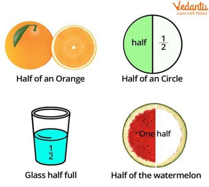 What Is One Half Times One Half