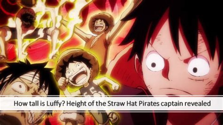 When Does Luffy Tell The Crew To Train