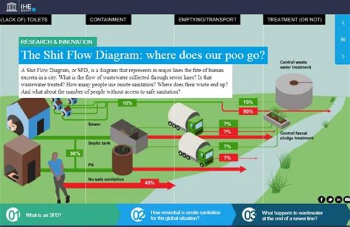 Where Does Our Poop Go
