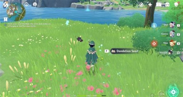 Where To Find Dandelions