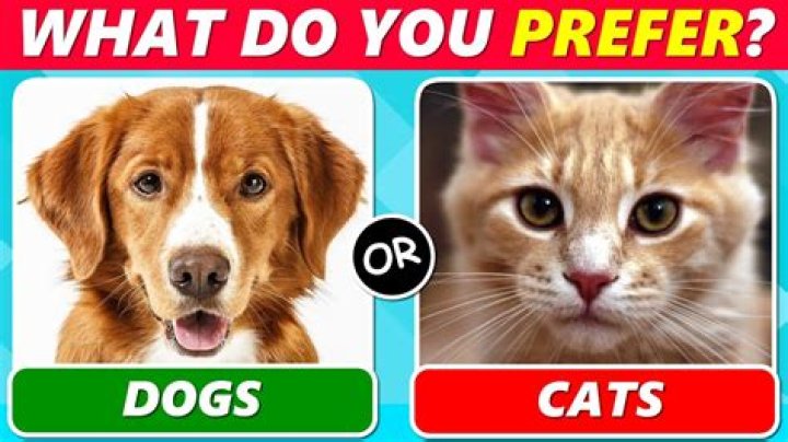 Which Do Guys Really Prefer?