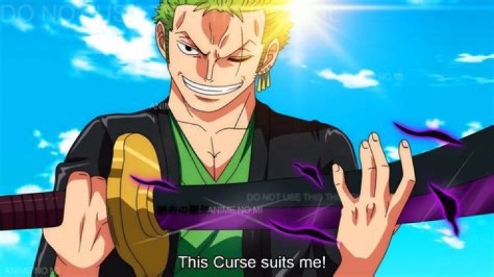 Who Does Zoro End Up With