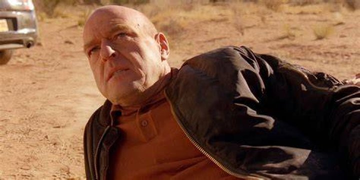 Who Killed Gale Breaking Bad