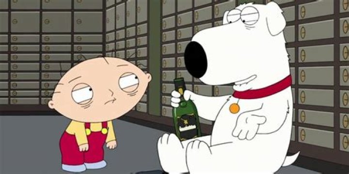 Who Understands Stewie
