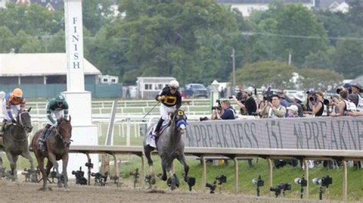 Who Won The Preakness