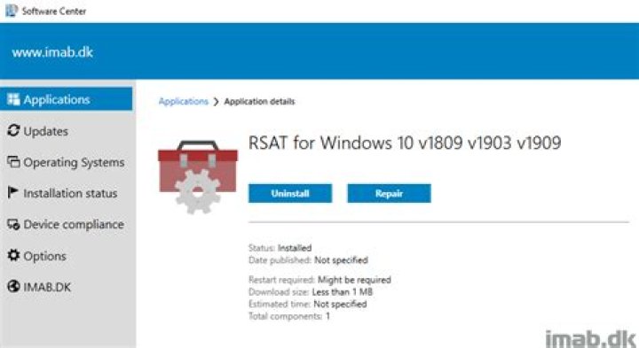 Windows 10 v1909 install errors, visual bugs, and more