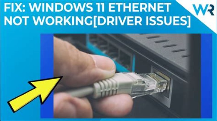 Windows 11 Ethernet not working [Driver issues]