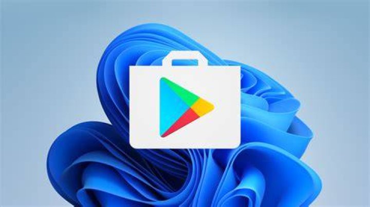 windows 11 google play store