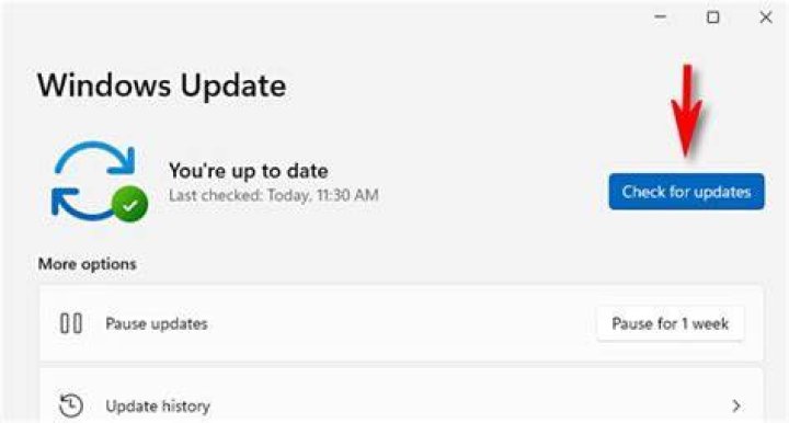 windows update check for updates