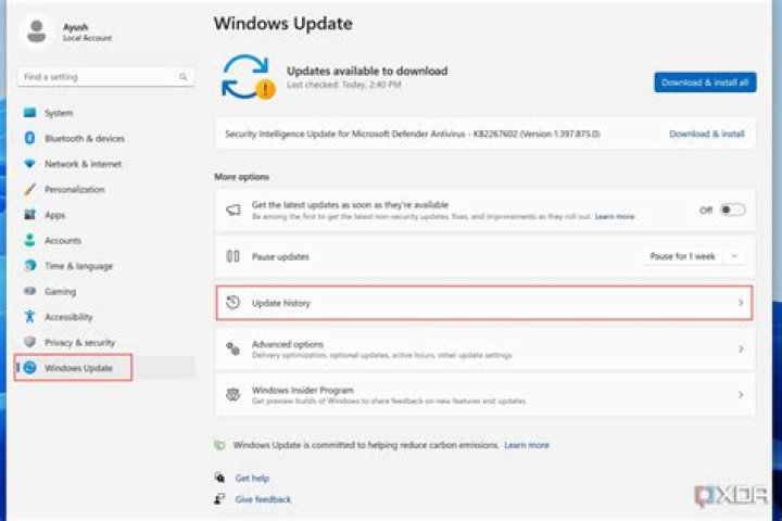 Windows Update tab