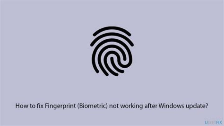 Windows Update to fix biometric devices not showing in device manager windows 11