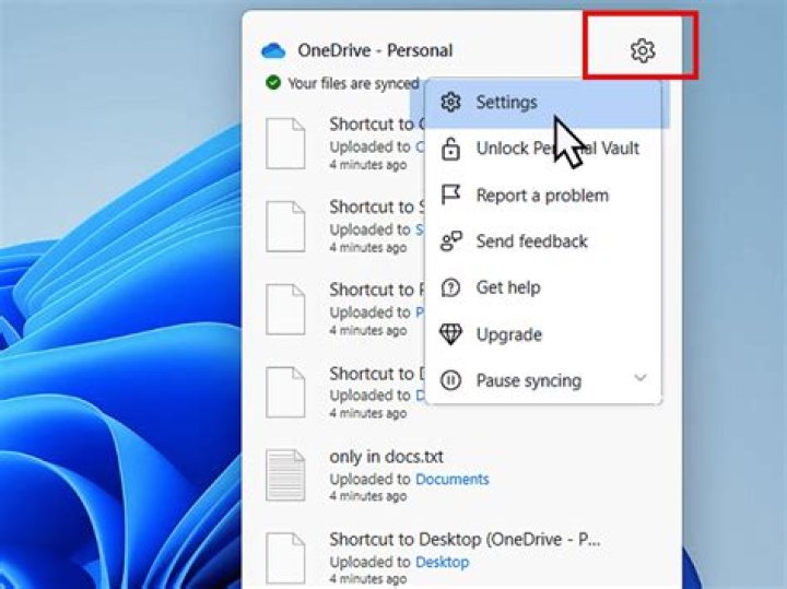 WinX menu settings - OneDrive error 0x8004def5