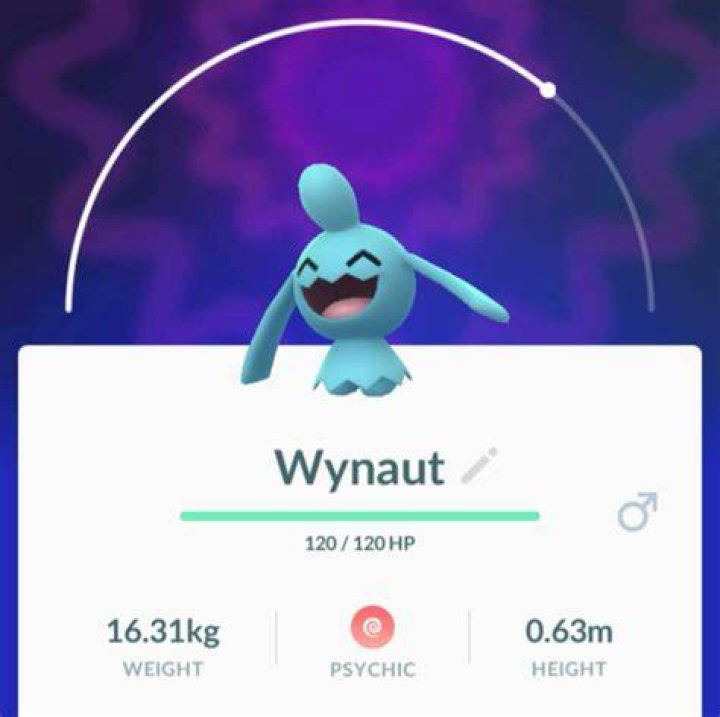 Wynaut Counter.png
