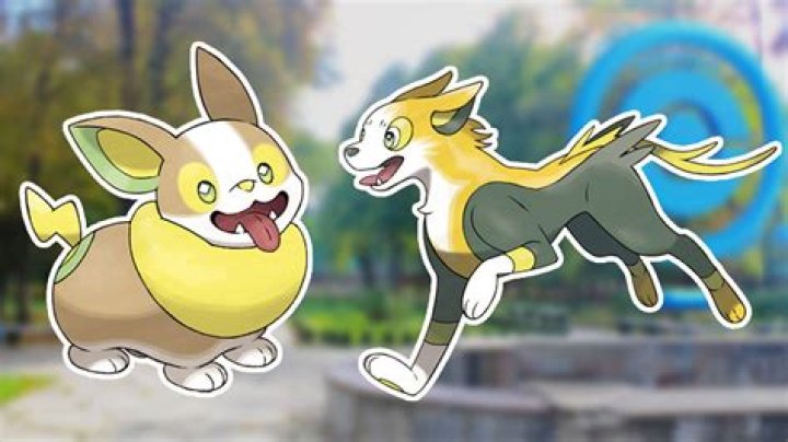 Yamper