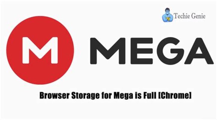 Your in Browser Storage for Mega is Full [Chrome]: 7 Fixes