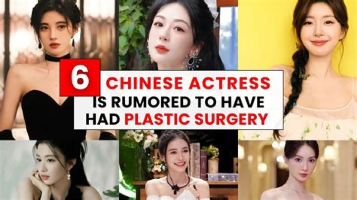 Zhao Lusi Plastic Surgery What Alterations Has She Made? Celeb Transformations