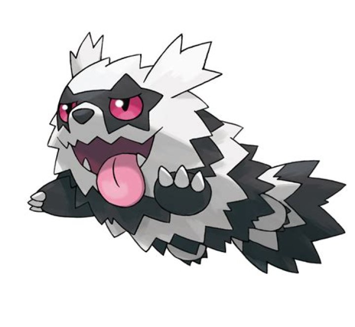 Zigzagoon